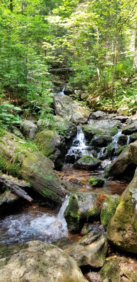 Apartment Am Nationalpark Bayerwald Lindberg Dış mekan fotoğraf