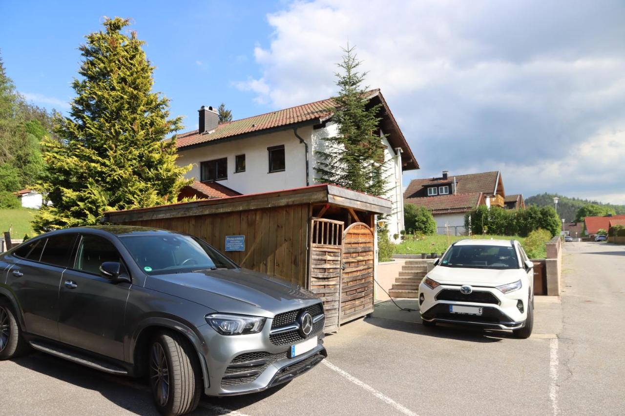 Apartment Am Nationalpark Bayerwald Lindberg Dış mekan fotoğraf